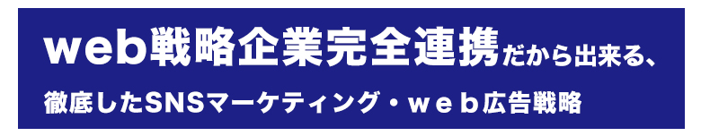 web戦略企業完全連携